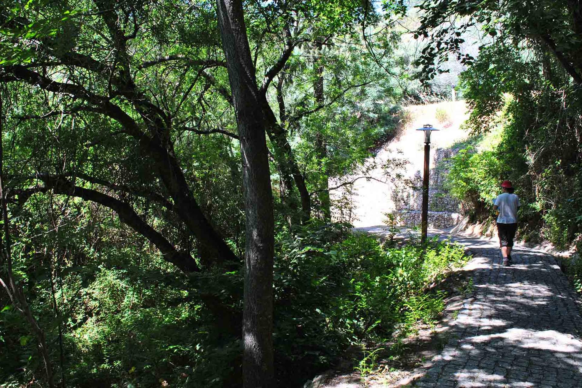 PR2 MCQ - Caminho das Caldas - Picota / Walking