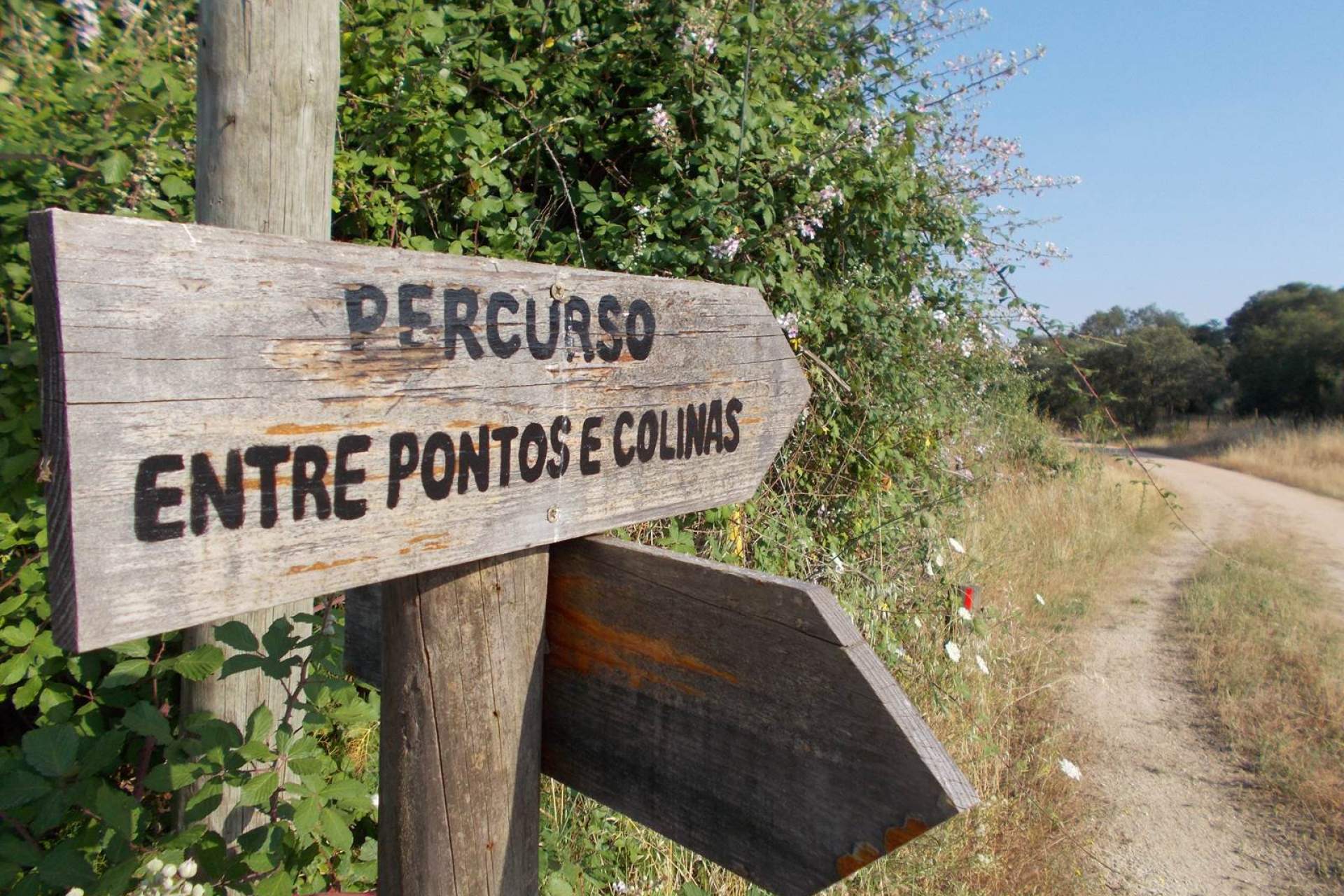Entre Pontos e Colinas de Arraiolos