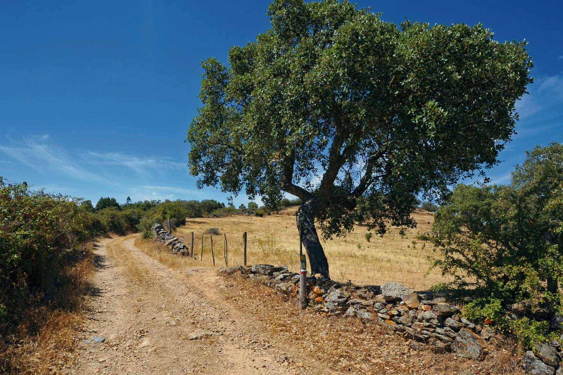 GR40 - Caminho Português Interior de Santiago – Etapa de Nisa