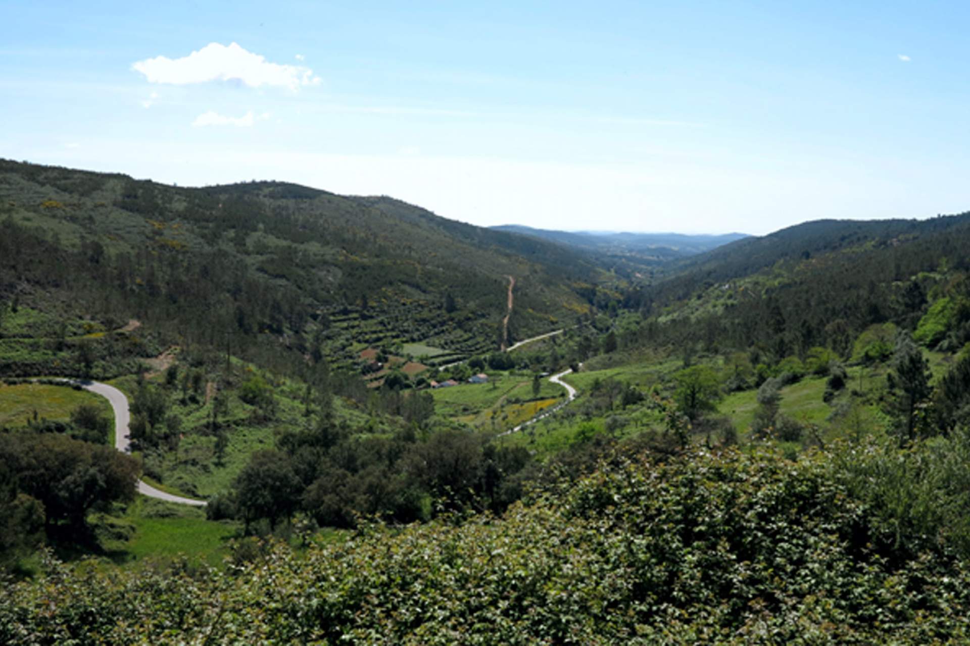 PR8 PTG - Percurso de Vale Lourenço