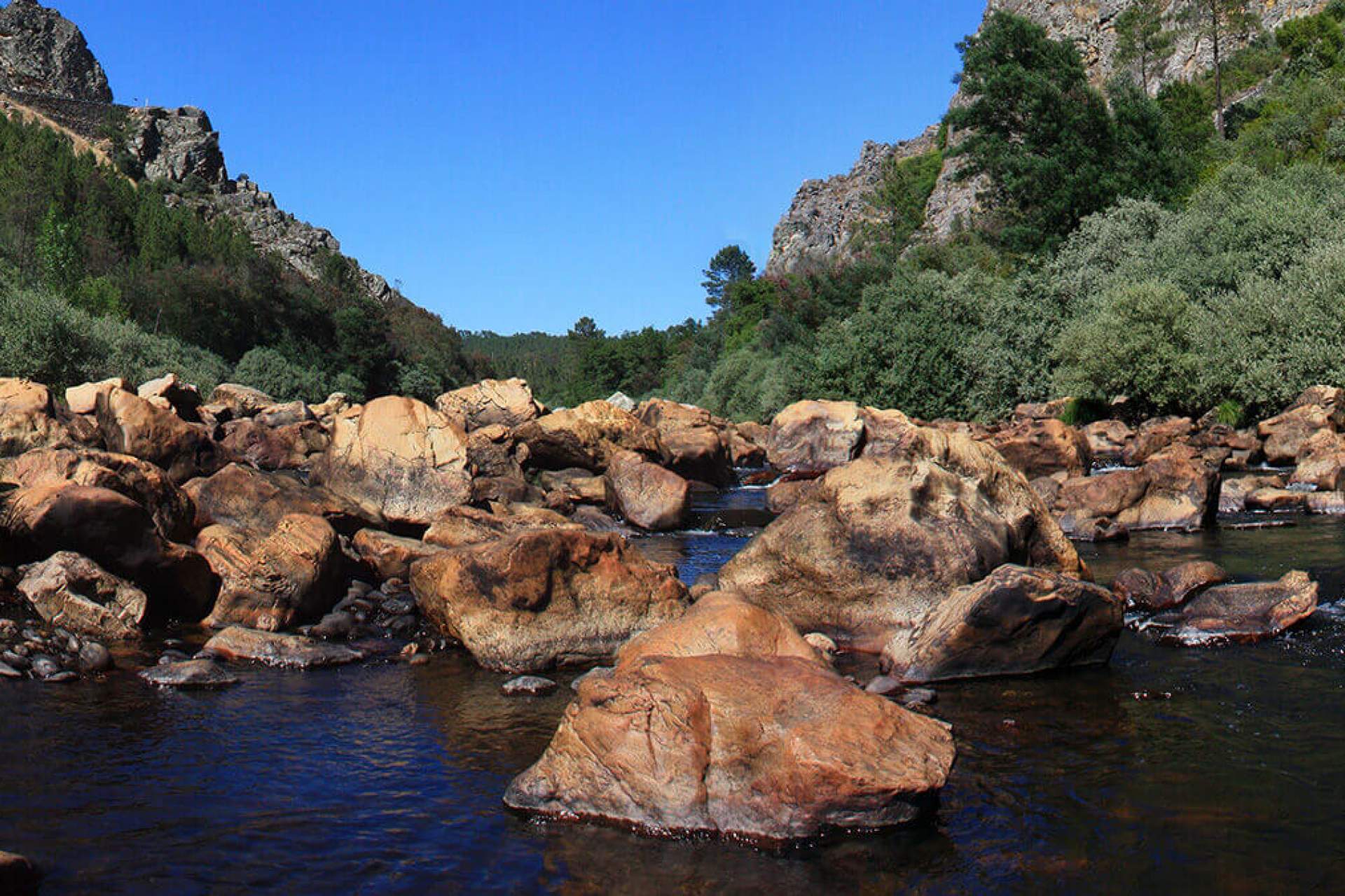 Meandros