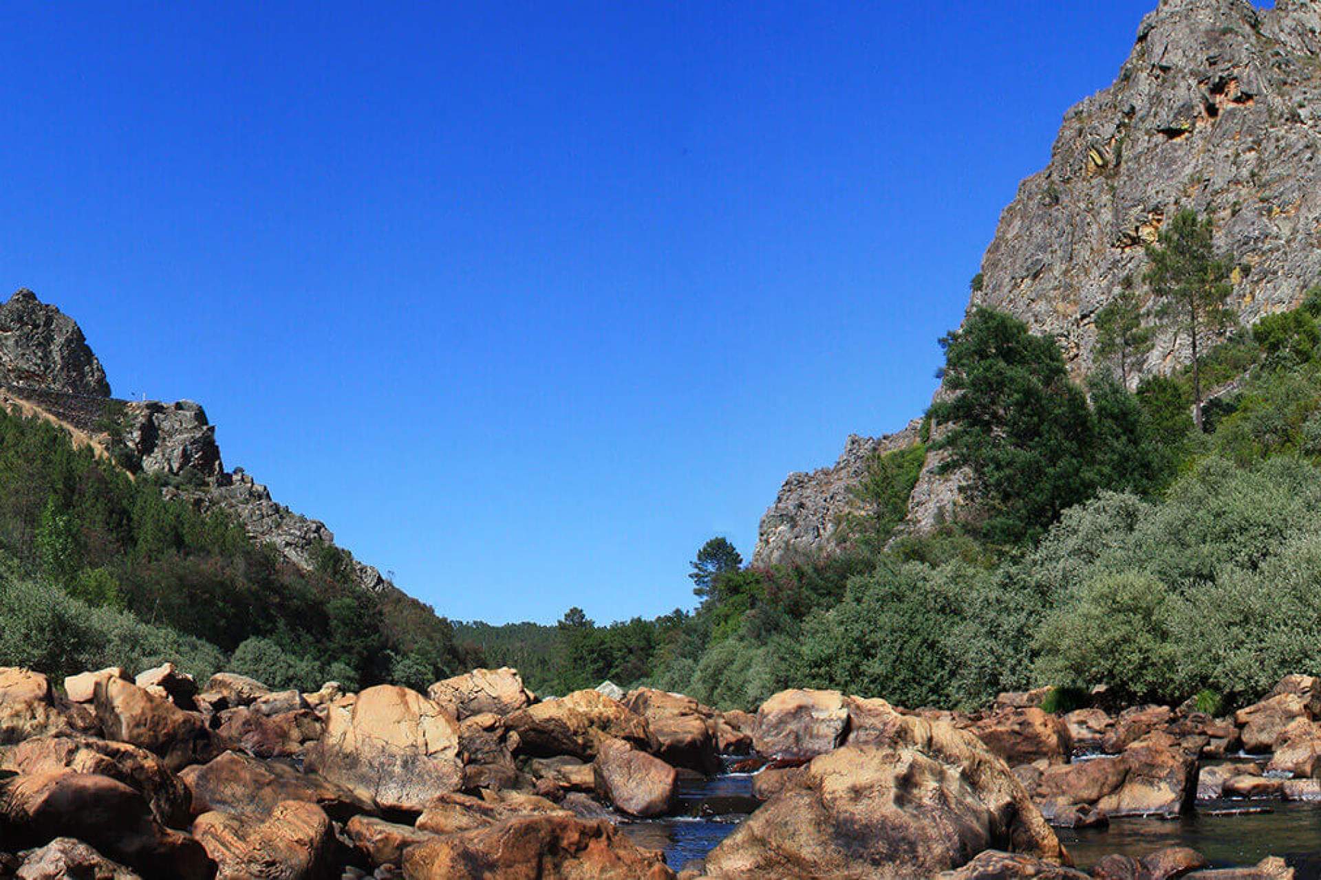 Meandros