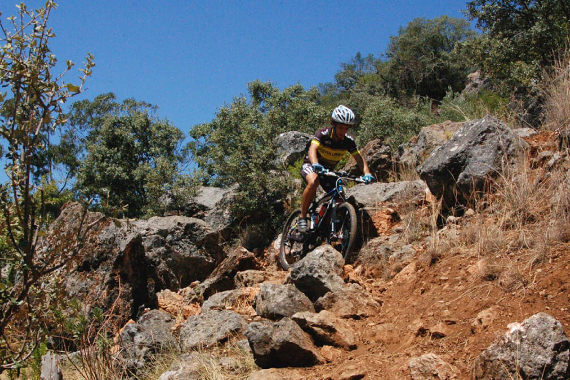 Centro de BTT Alcanena - Percurso 25 - Preto