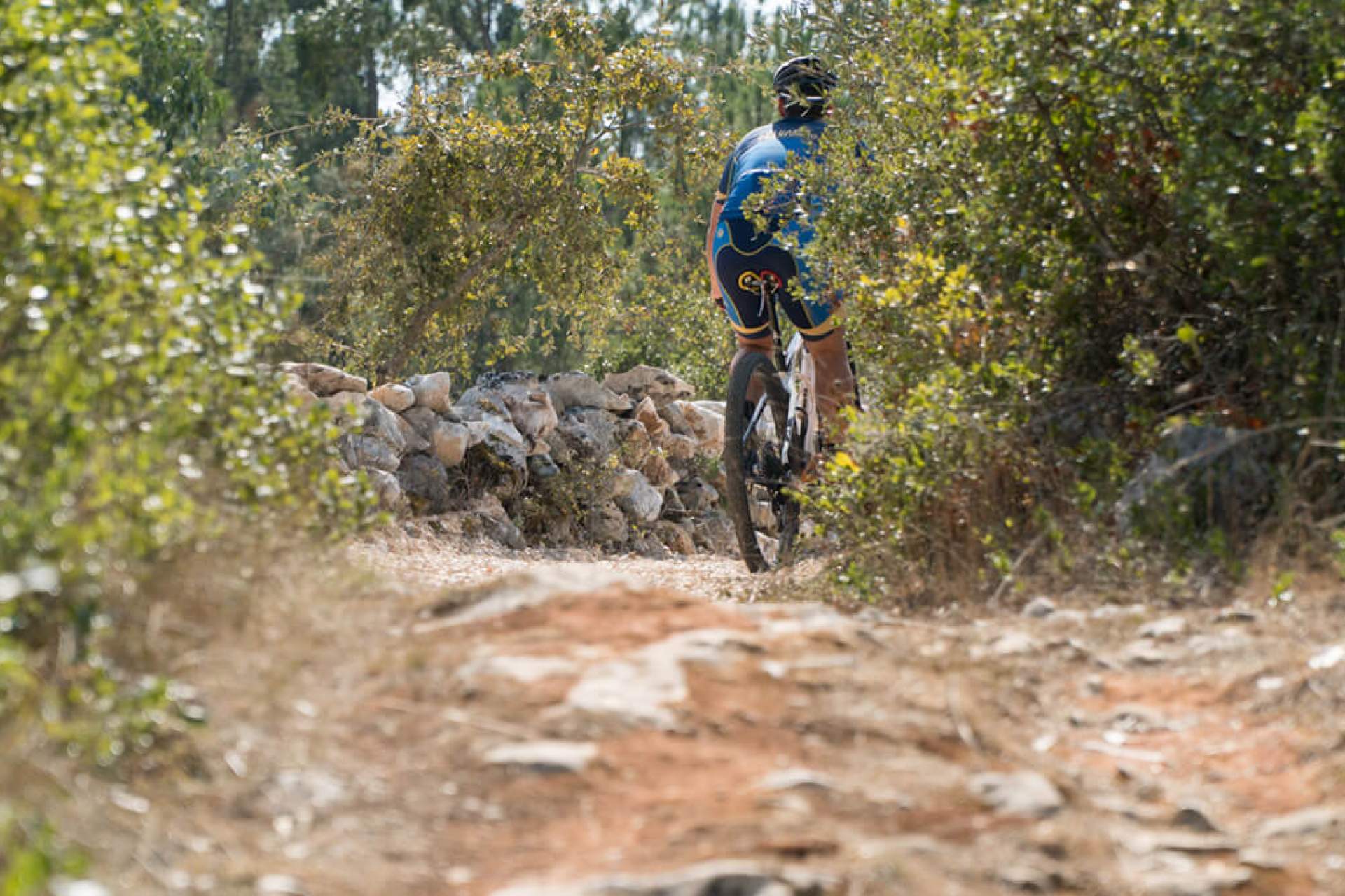 Centro de BTT Batalha - Percurso 4 - Preto