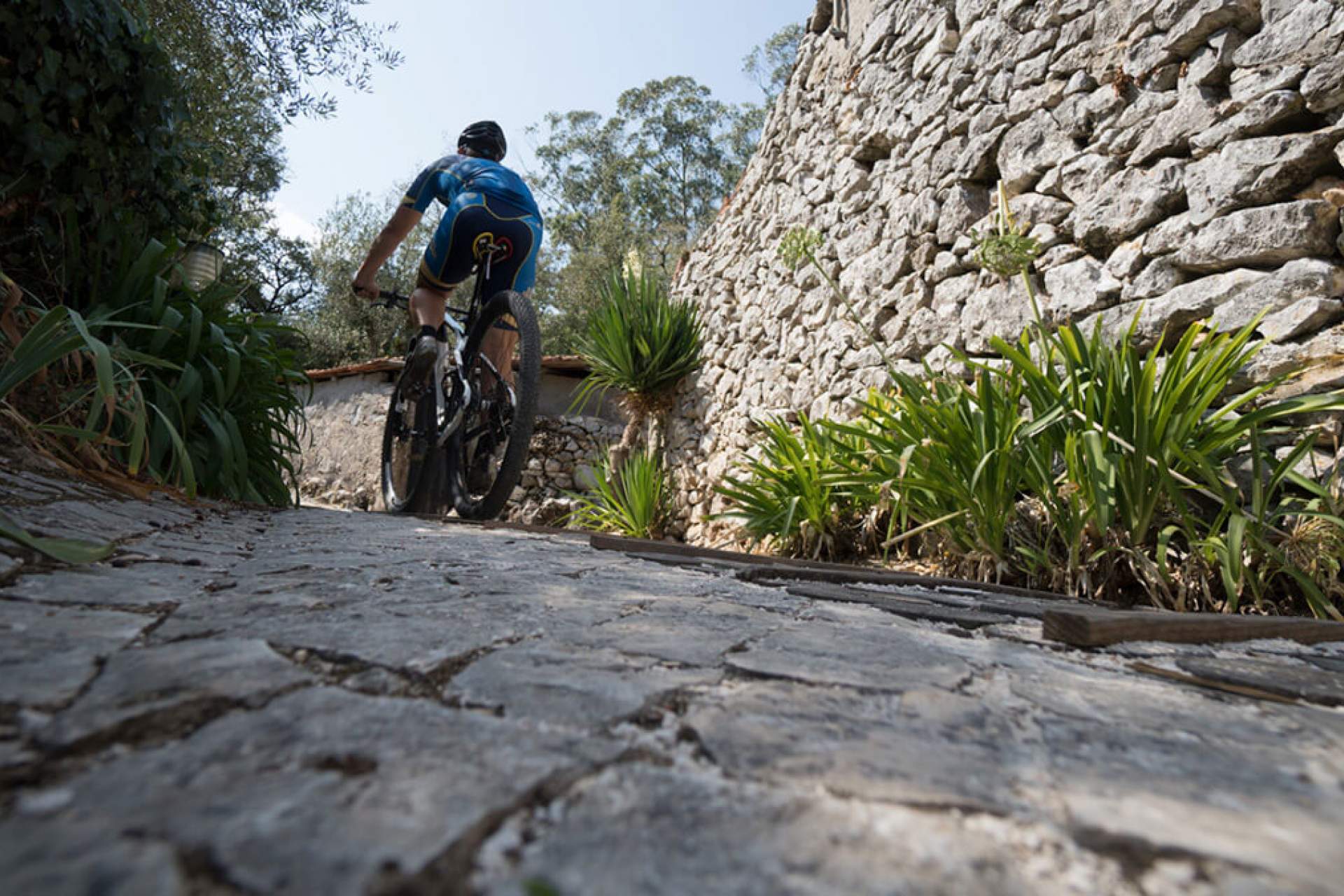 Centro de BTT Batalha - Percurso 5 - Vermelho