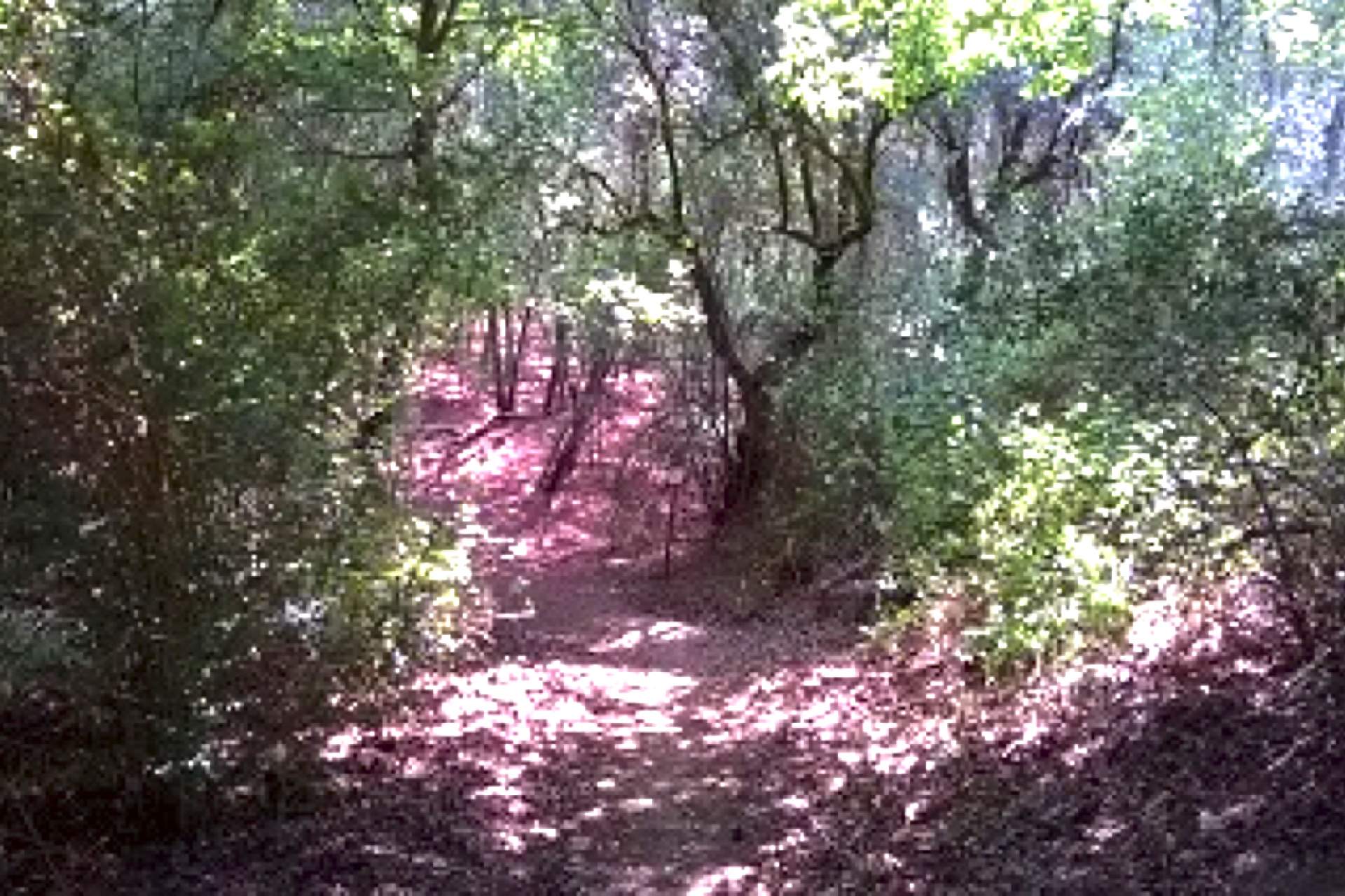 Centro de BTT Penacova - Percurso 12 - Azul
