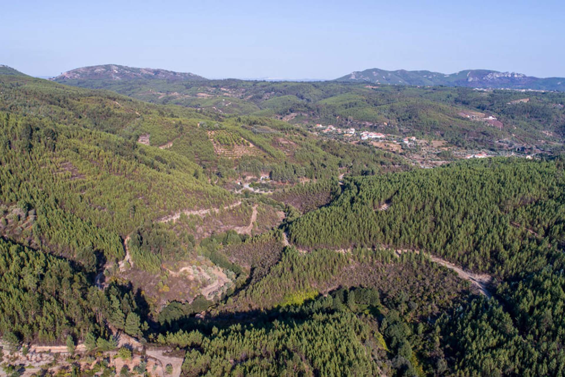 Centro de BTT Proença a Nova - Percurso 33 - Vermelho