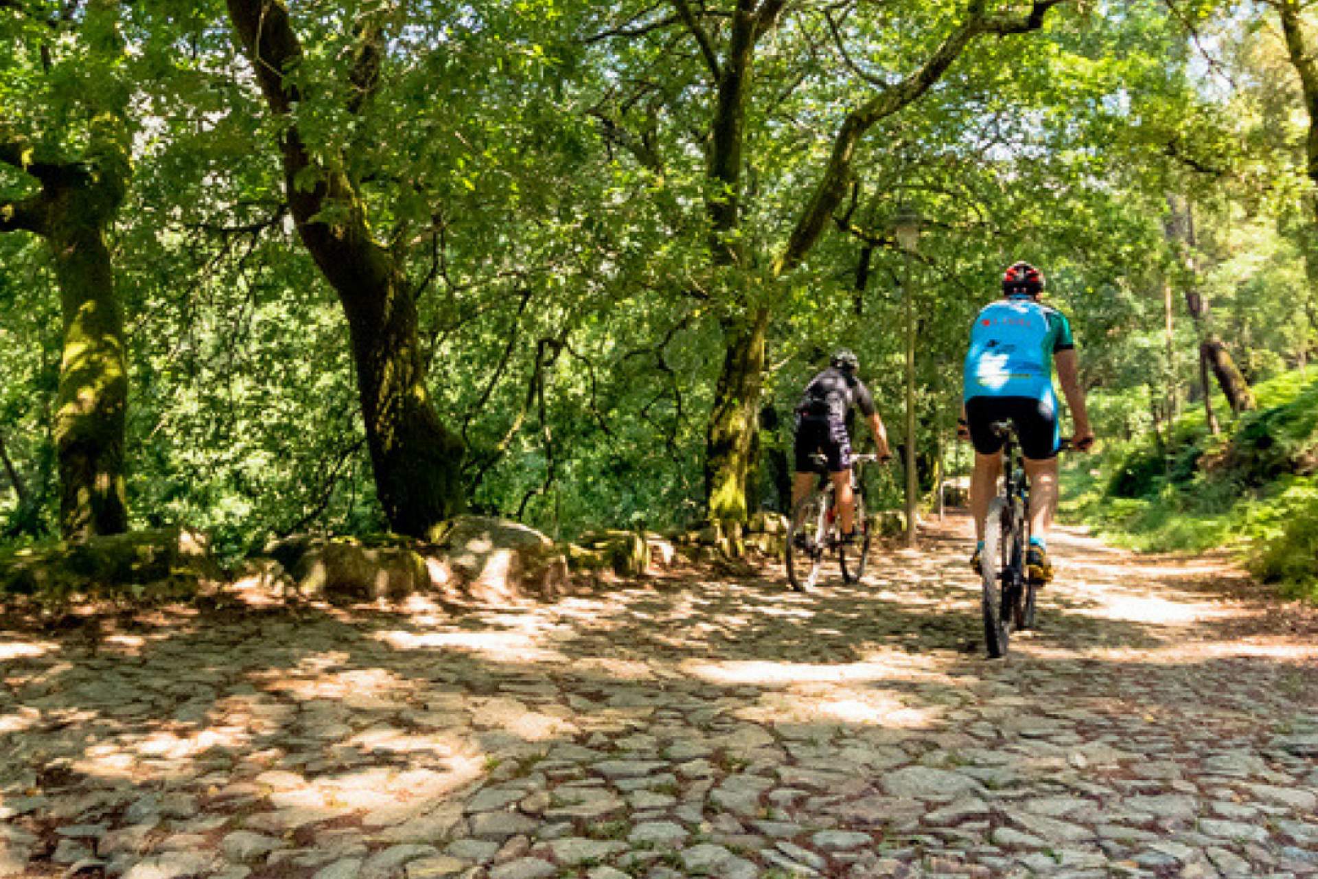 Centro de BTT Valongo - Percurso  02 - Azul