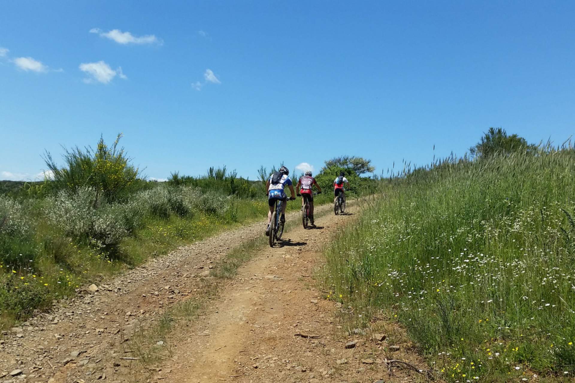 Centro de BTT Vinhais - Percurso 1 - Verde