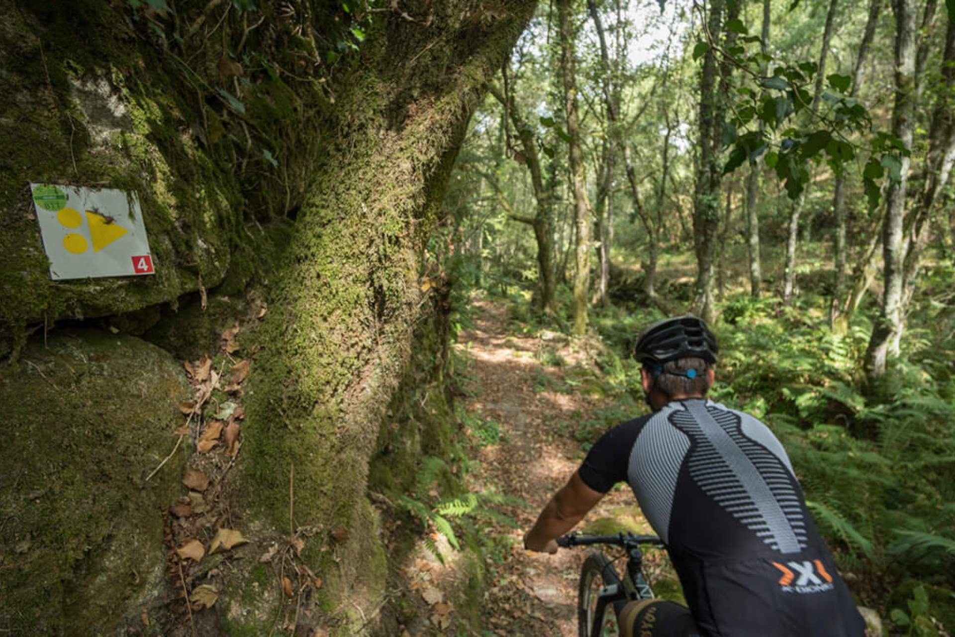 Centro de BTT Vouzela - Percurso 4 - Vermelho
