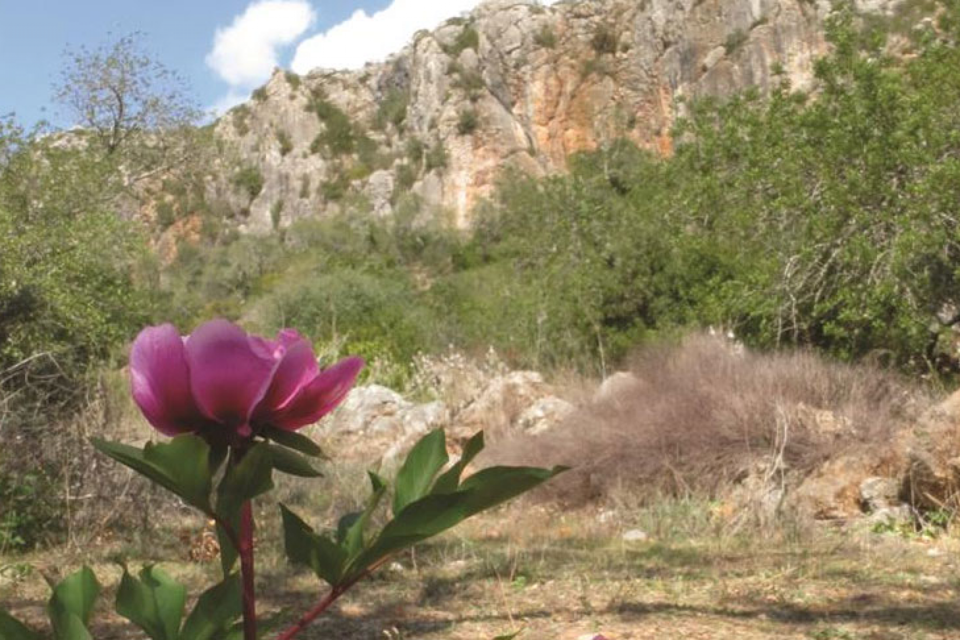 Dia 3 - Salir a Silves / Cycling
