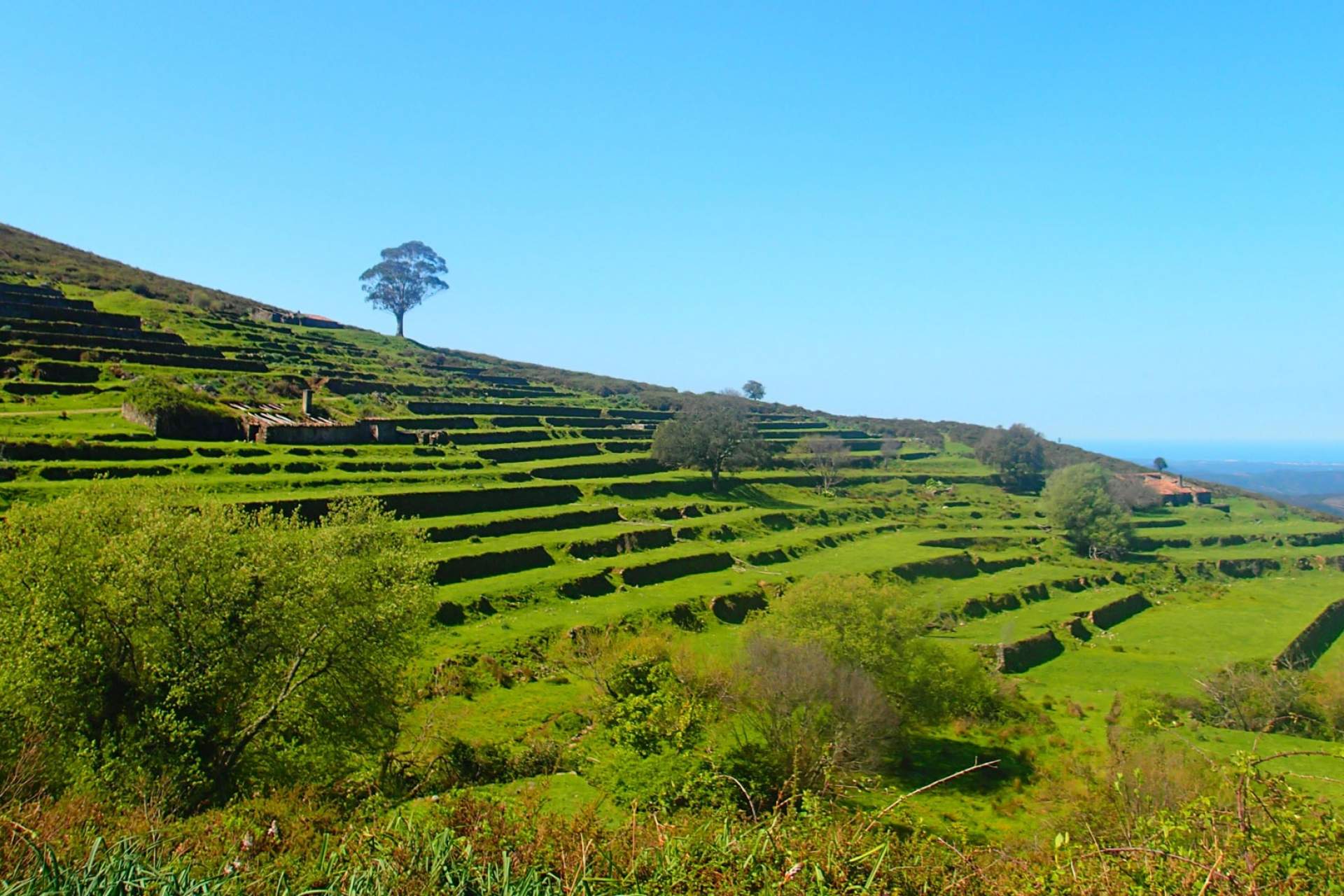 Dia 4  - Silves a Marmelete / Cycling