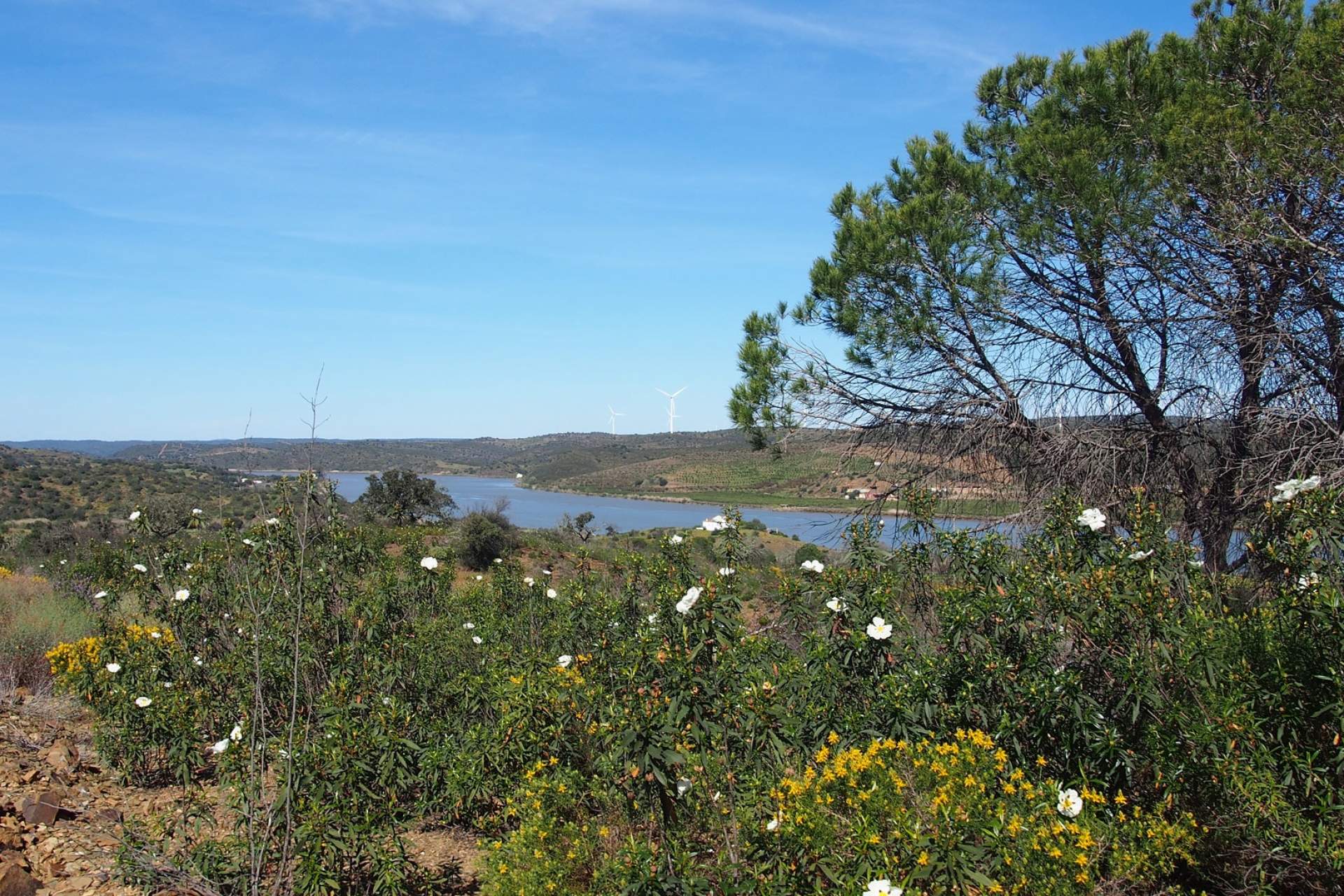 Boa Vista / Cycling