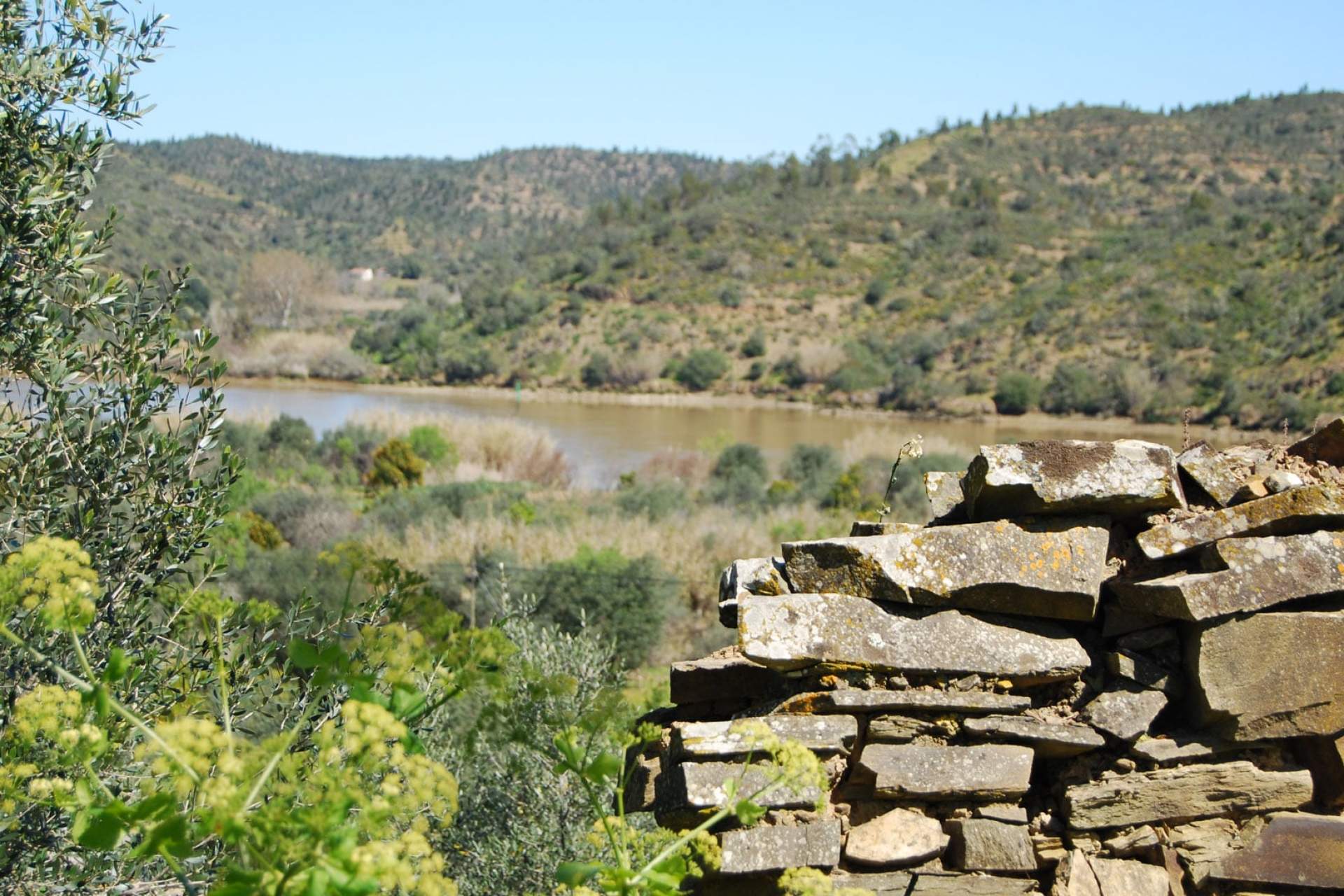 Caminhos da Cabra Algarvia / Cycling