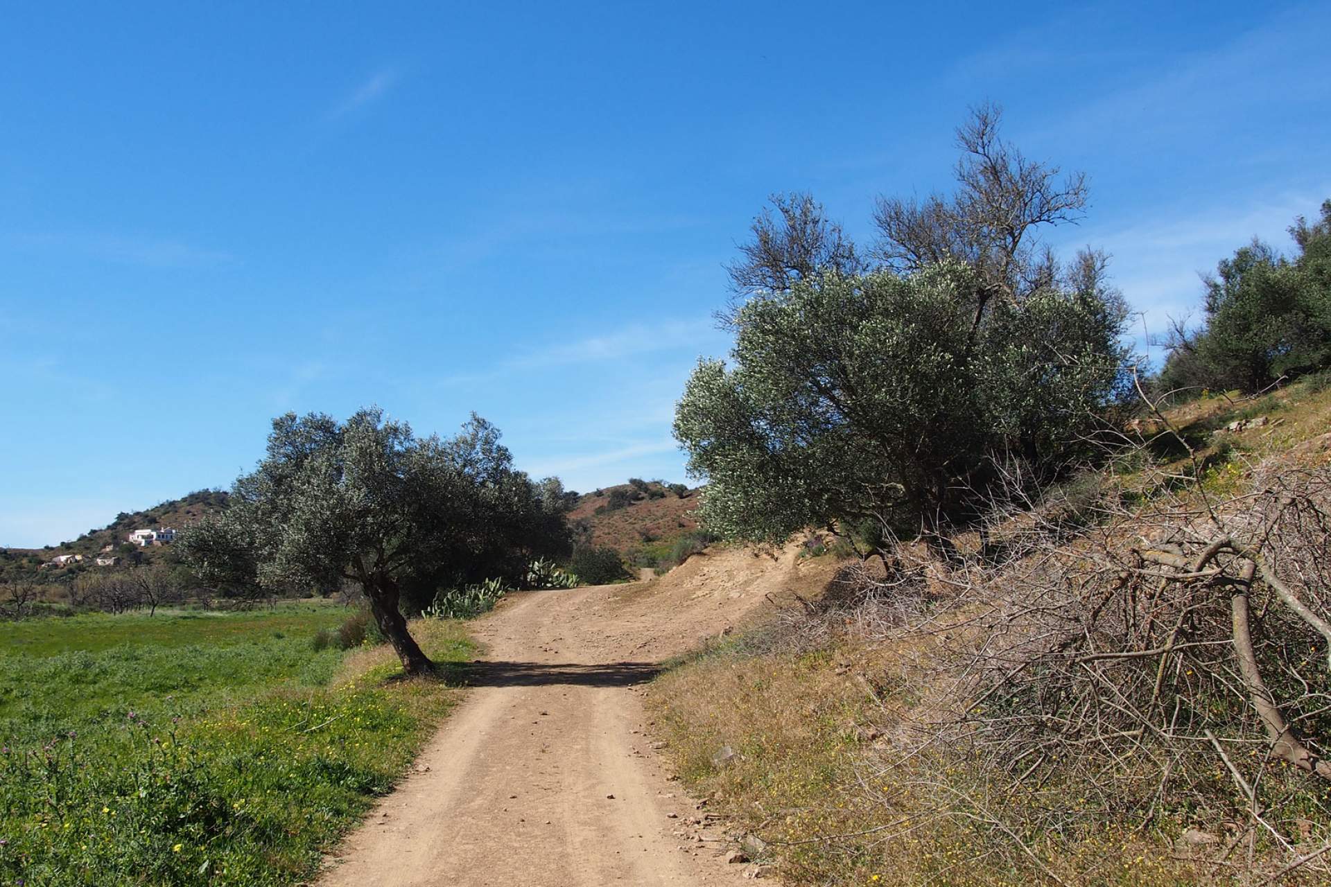 Cerro acima, cerro abaixo / Cycling