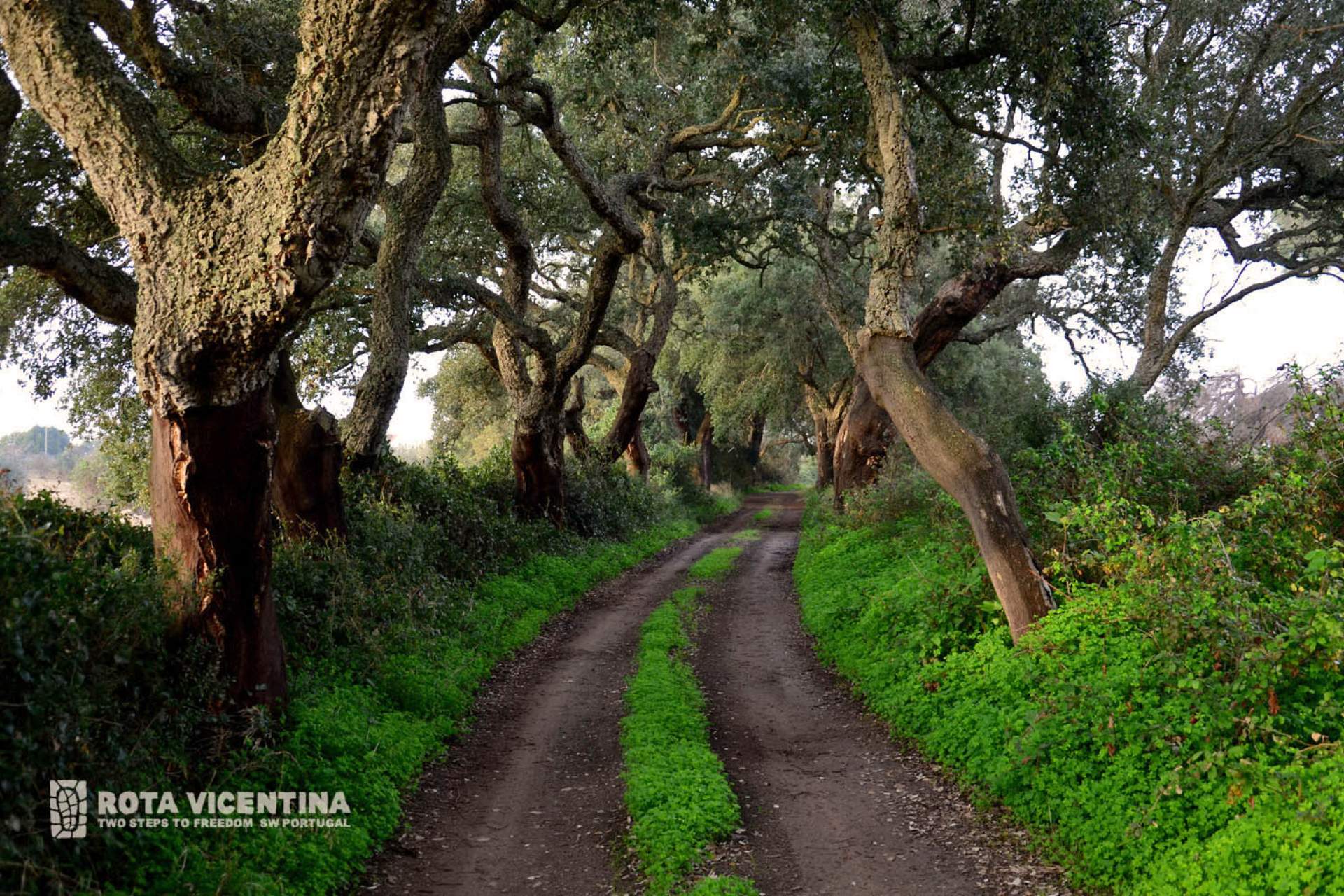 Caminho Histórico / Cercal do Alentejo - Porto Covo