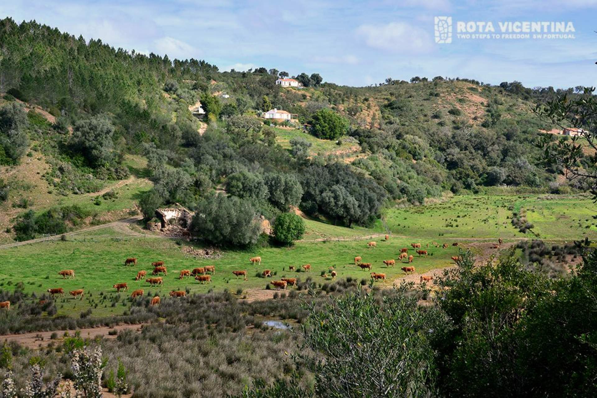 Percursos Circulares / Troviscais ao Mira