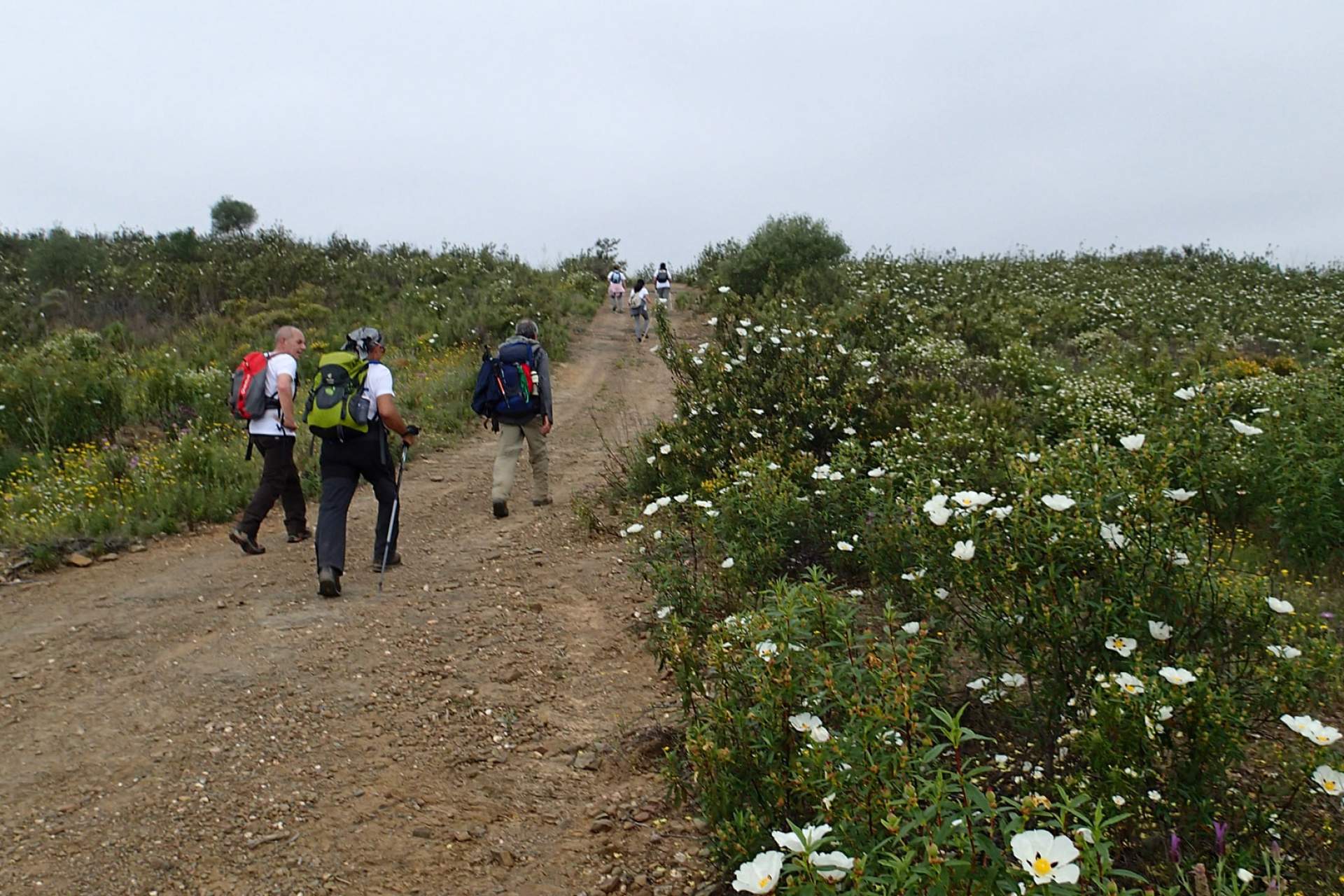 Setor 1 - Alcoutim a Balurcos / Walking