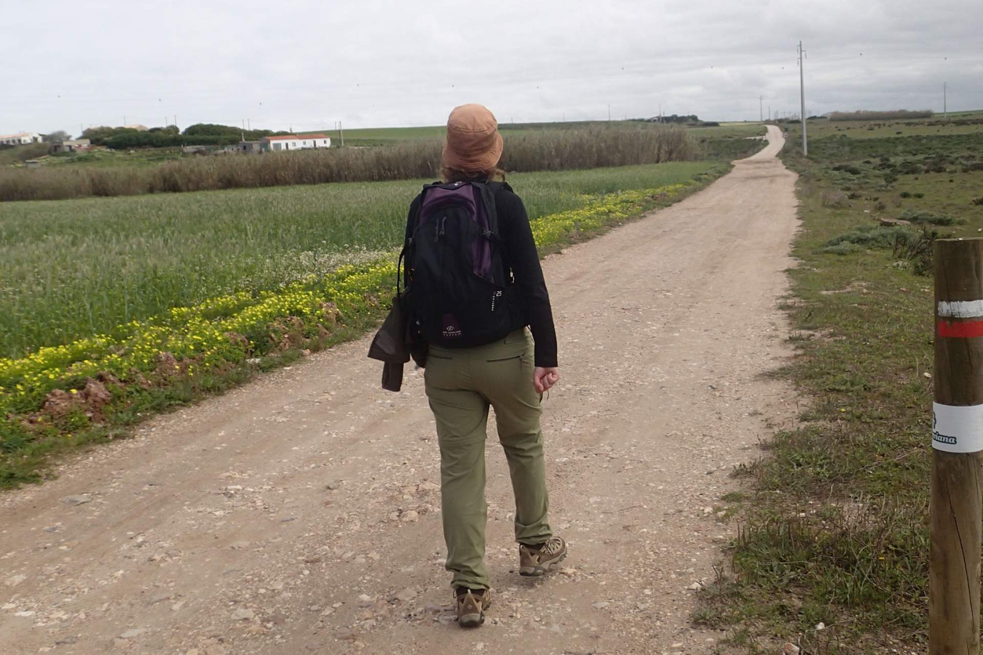 Setor 14 - Vila do Bispo a Sagres / Walking