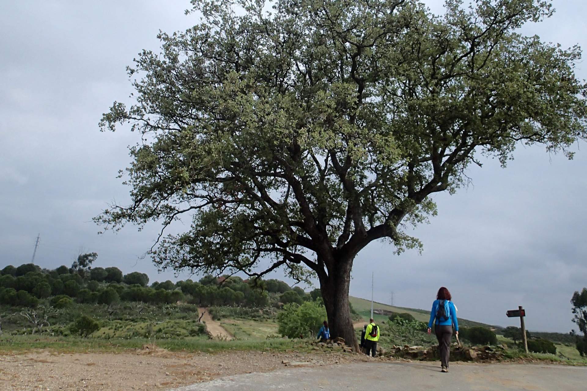 Setor 4 - Vaqueiros a Cachopo / Walking