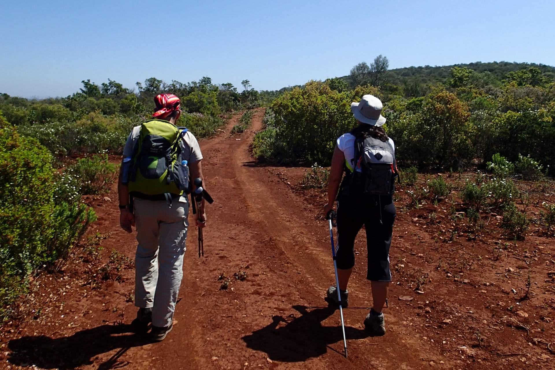 Setor 7 - Salir a Alte / Walking