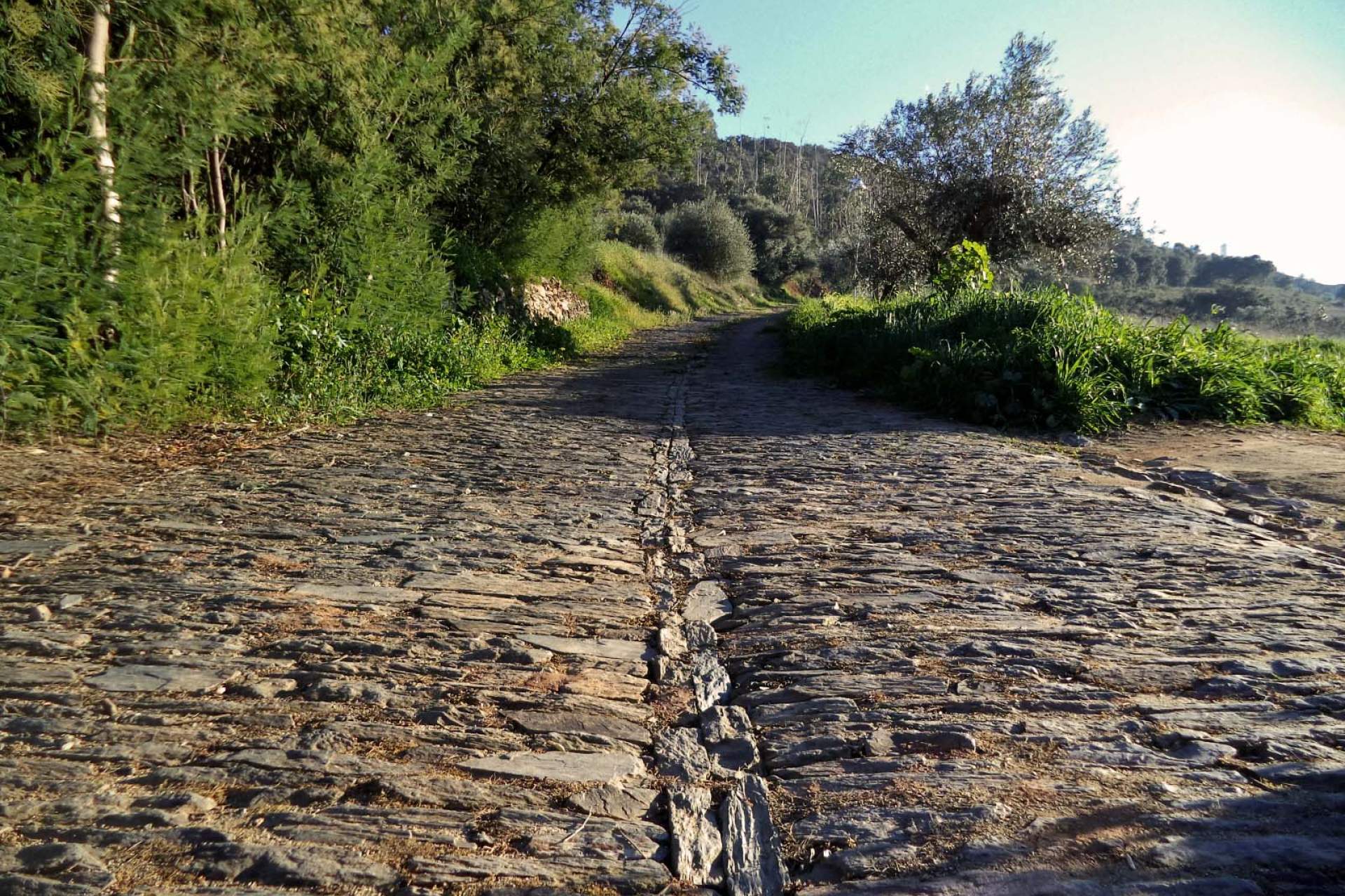 Escritas de Pedra e Cal