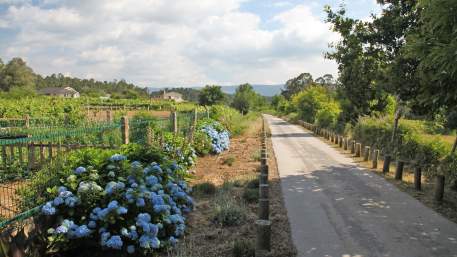 Ecopista do Rio Minho / Cycling