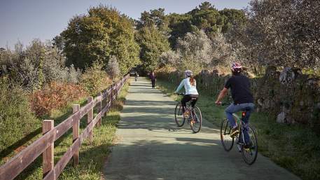 Ecopista Dão / Cycling