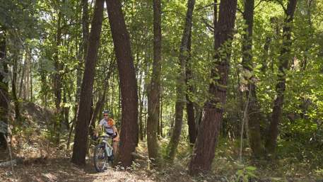 Centro de BTT Águeda - Percurso 4 - Vermelho