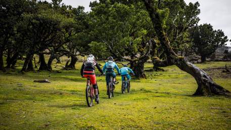 Centro de Cyclin'Portugal do Porto Moniz