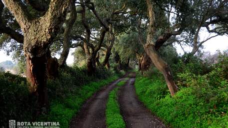 Rota Vicentina / Cycling