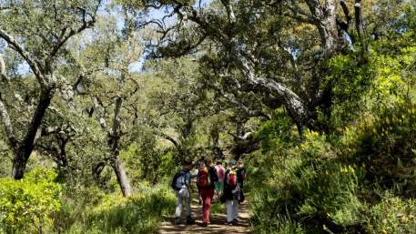 Algarve / Walking