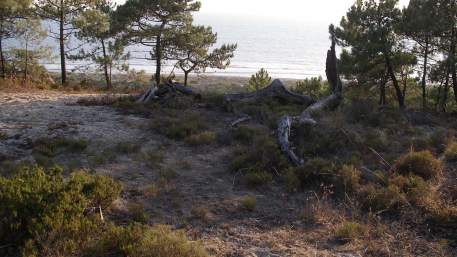 Lisbon Region / Walking