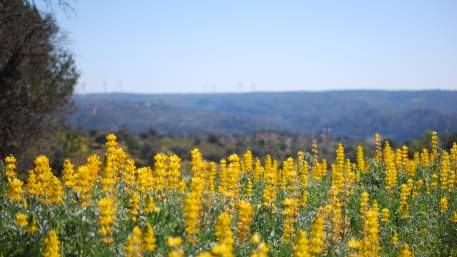 Rota do Guadiana / Cycling