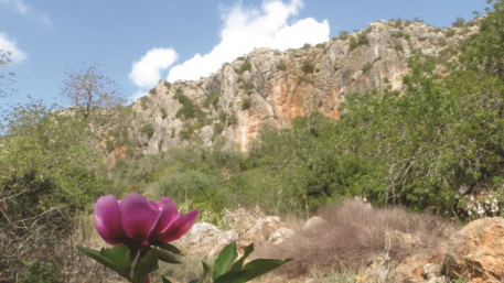 Dia 3 - Salir a Silves / Cycling