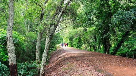 Ecopista do Tâmega / Walking