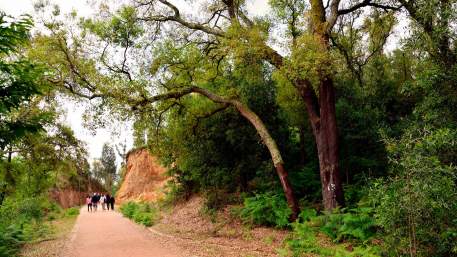 Ecopista do Tâmega / Walking