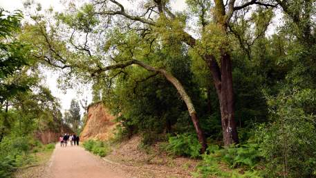 Ecopista do Tâmega / Walking