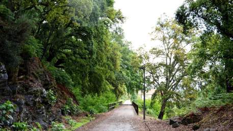 Ecopista do Tâmega / Cycling