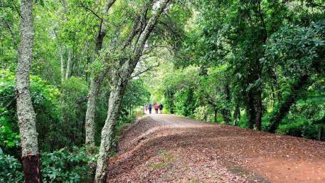 Porto e Norte / Walking