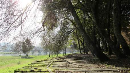 Ecovia do Rio Lima / Cycling