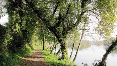 Porto e Norte / Walking