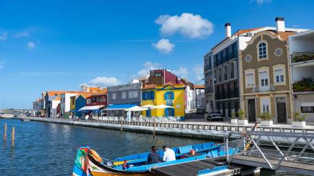 Palhaça (Oliveira do Bairro) » Canal de São Roque (Aveiro)