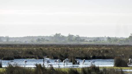 Grande Rota da Ria de Aveiro - Percurso Azul
