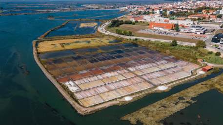 Santuário de Nª Srª de Vagos » Canal de São Roque (Aveiro)