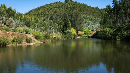 Águeda (centro) » Anadia (centro)