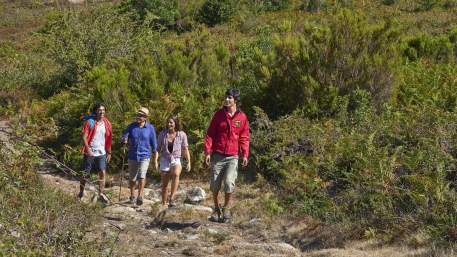 Algarve / Walking