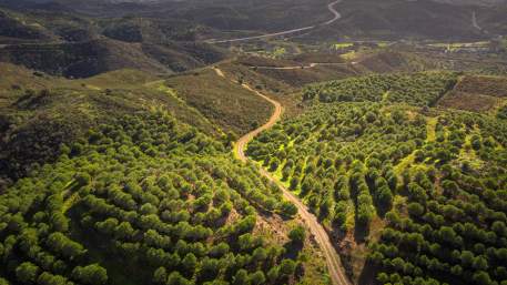 Setor 2 (Junqueira - Odeleite)
