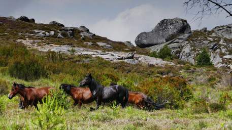 Grande Rota Peneda-Gerês