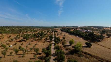 Ecopista Ramal de Reguengos / Cycling